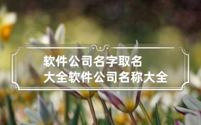 常州软件公司名叫什么好听易记